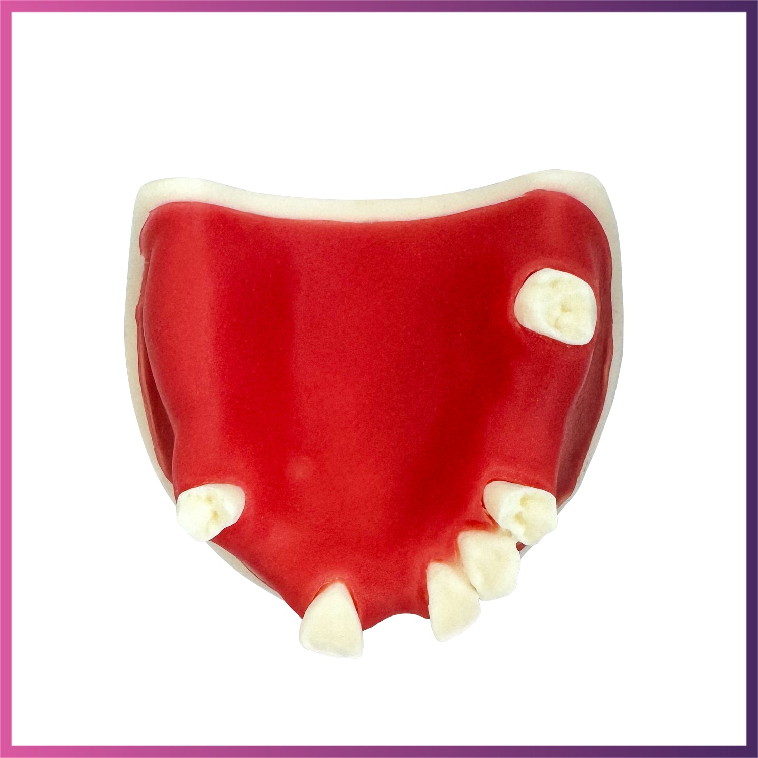 Implant Model (Lower & Upper Jaw)