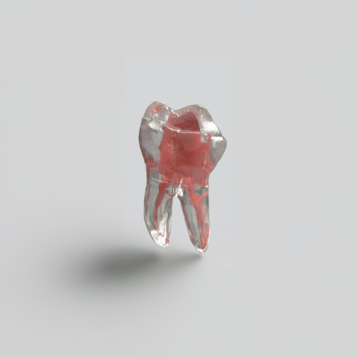 Modelo de dientes de resina en 3D para conducto radicular