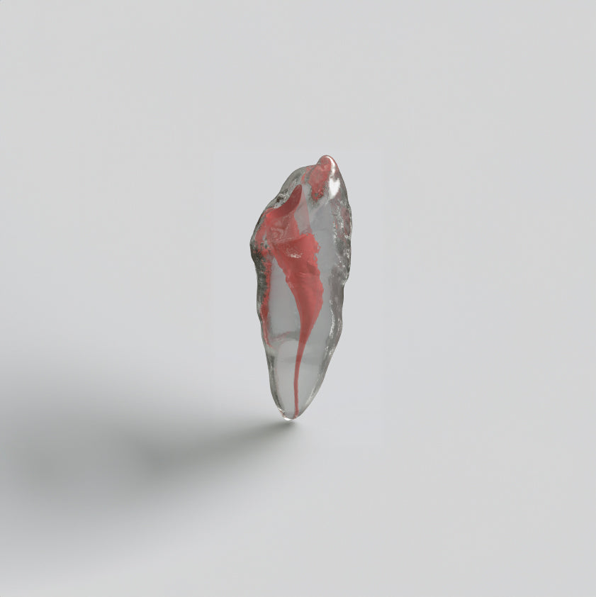 Root Canal 3D Resin Teeth Model