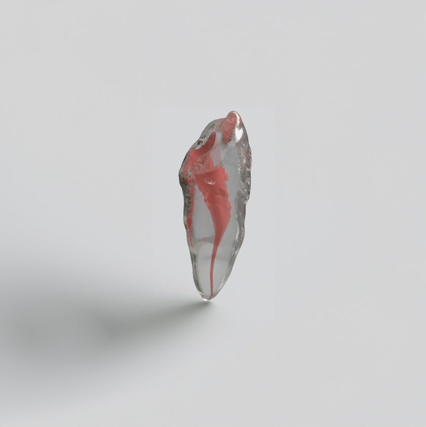 Modelo de dientes de resina en 3D para conducto radicular