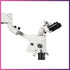 Bondent / Semorr DOM 3000E Microscope