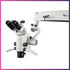 Bondent / Semorr DOM 3000E Microscope