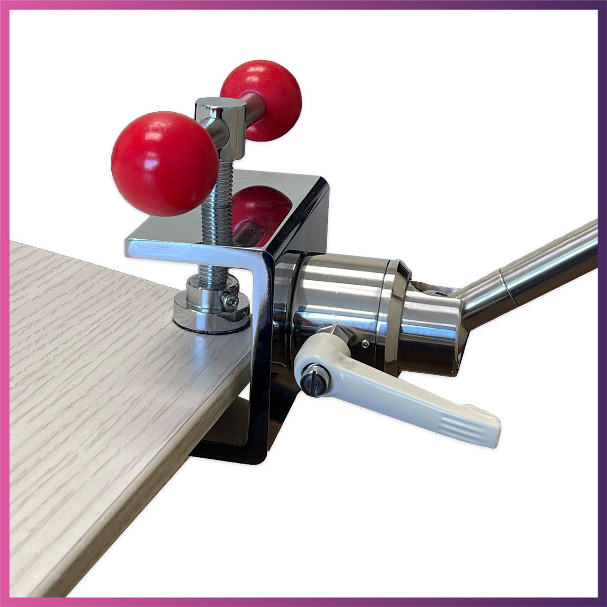Dental Phantom Head - Clip On Table