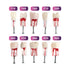 Kilgore Nissin Dental 200 Type (10 Pc Endo Root Canal Practice Typodont Teeth Model)