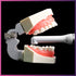 Woodpecker Curing Light / O-Light Plus