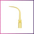 DTE Scaling Tip - PD22RT