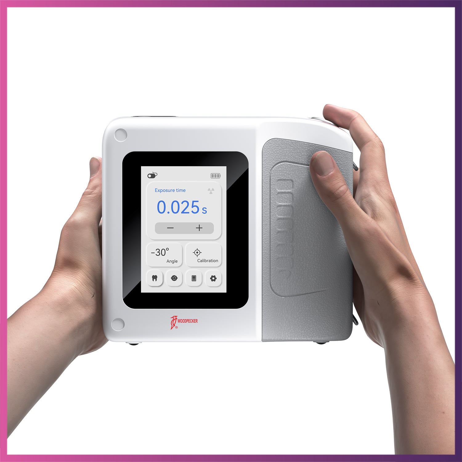 Woodpecker  / DTE  Master Ray