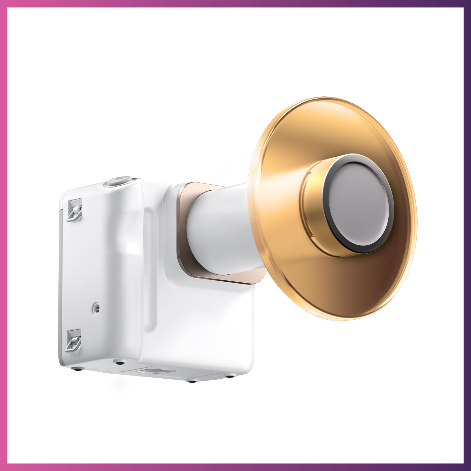 Woodpecker  / DTE  Master Ray