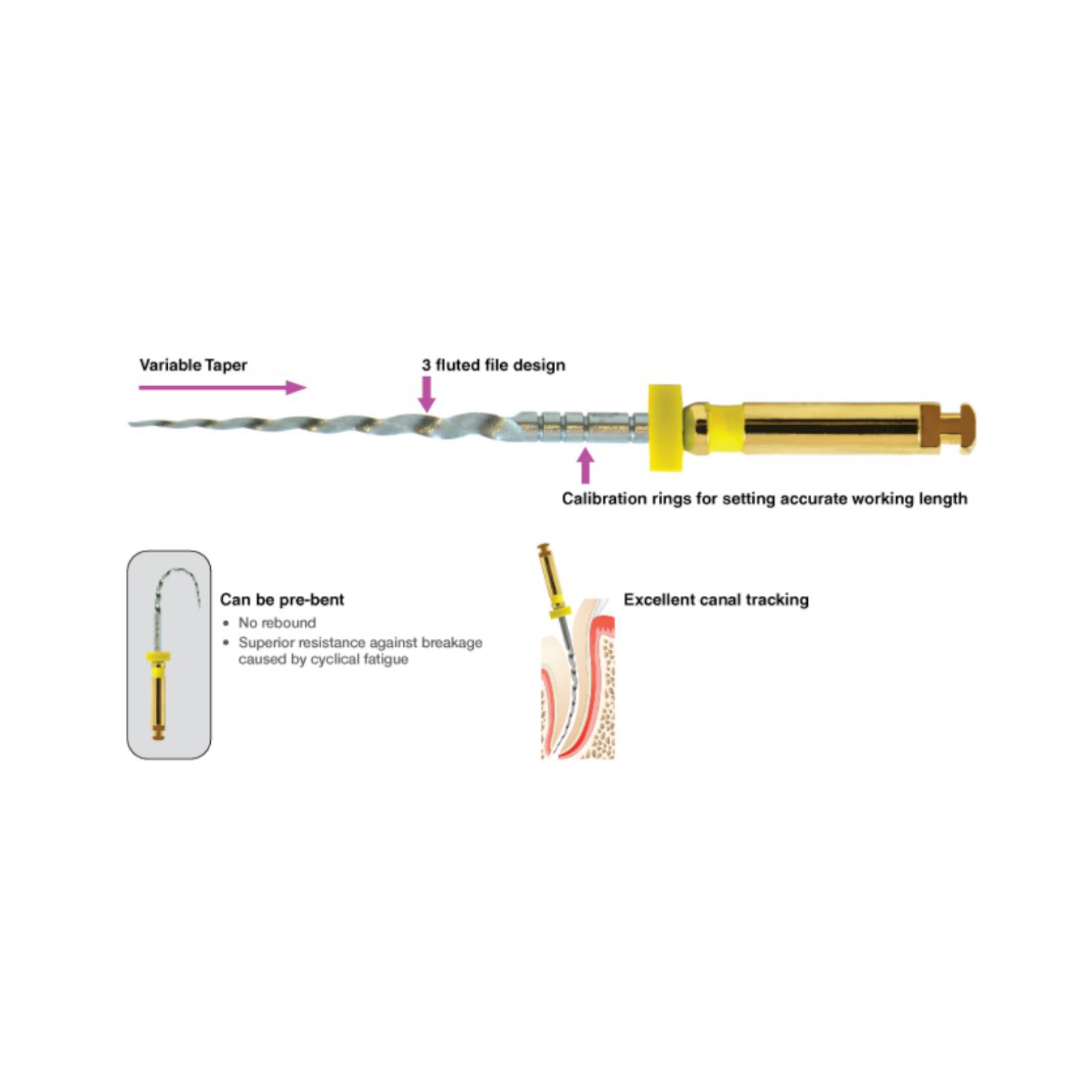 Pac-Taper™ Conform Rotary Files