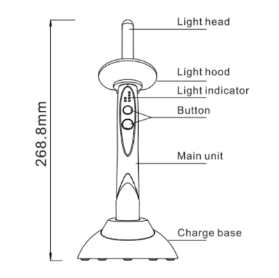 Woodpecker / DTE Curing Light / O-Light